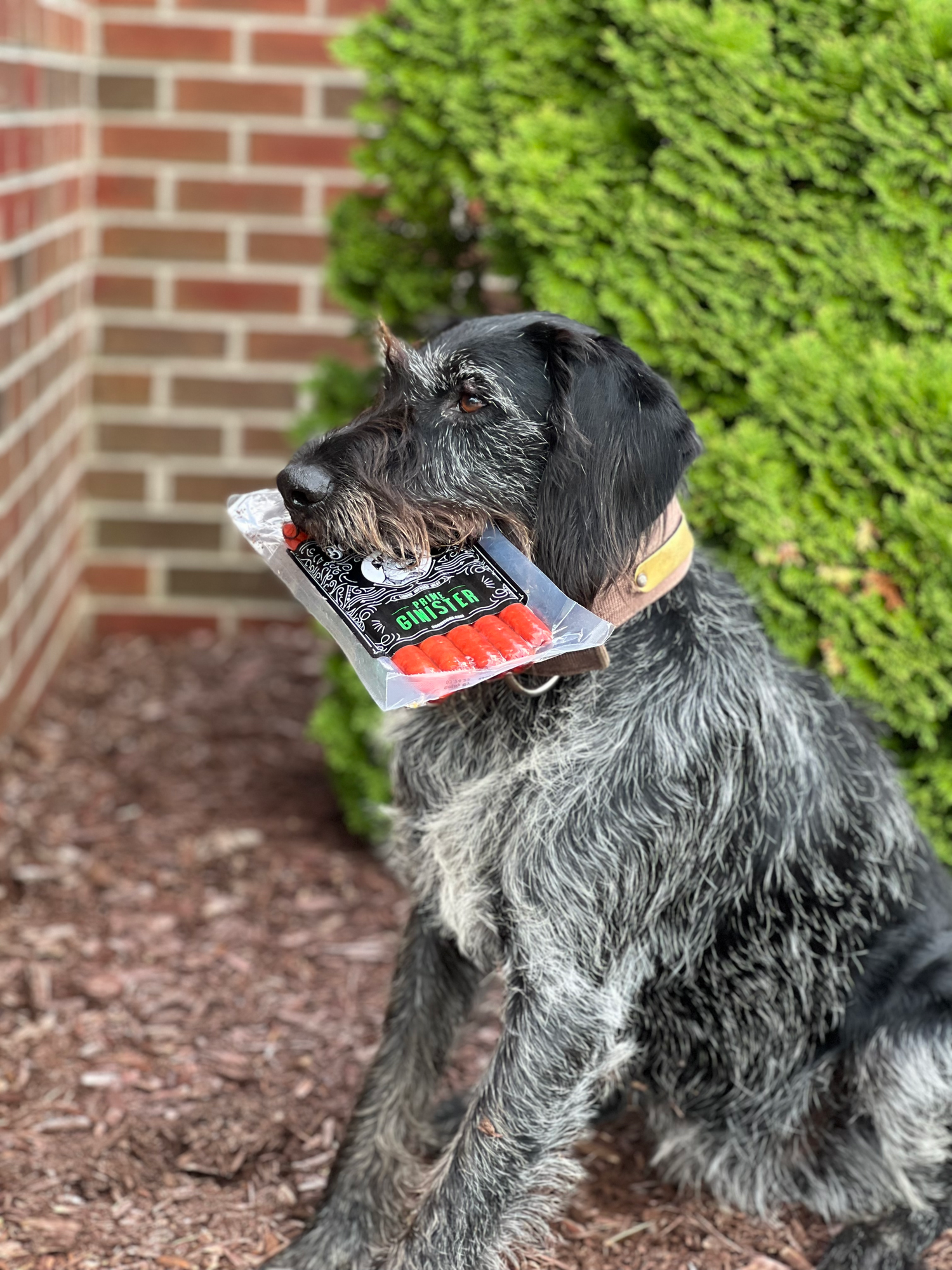 Best Gifts for Drinkers