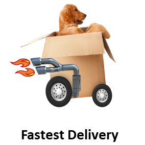 Fastest Delivery